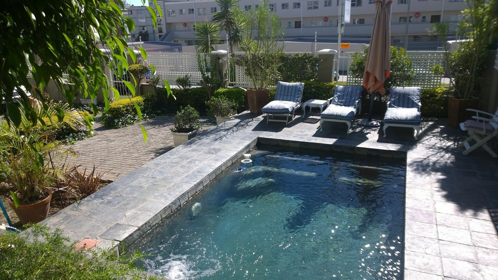 Conifer Beach House Port Elizabeth Exteriör bild